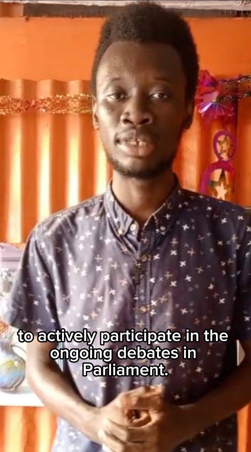 Citizens' Voices: Why Citizens' Voices Matter in Parliament